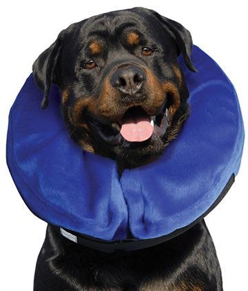 Kong Cloud Collar - Image 5