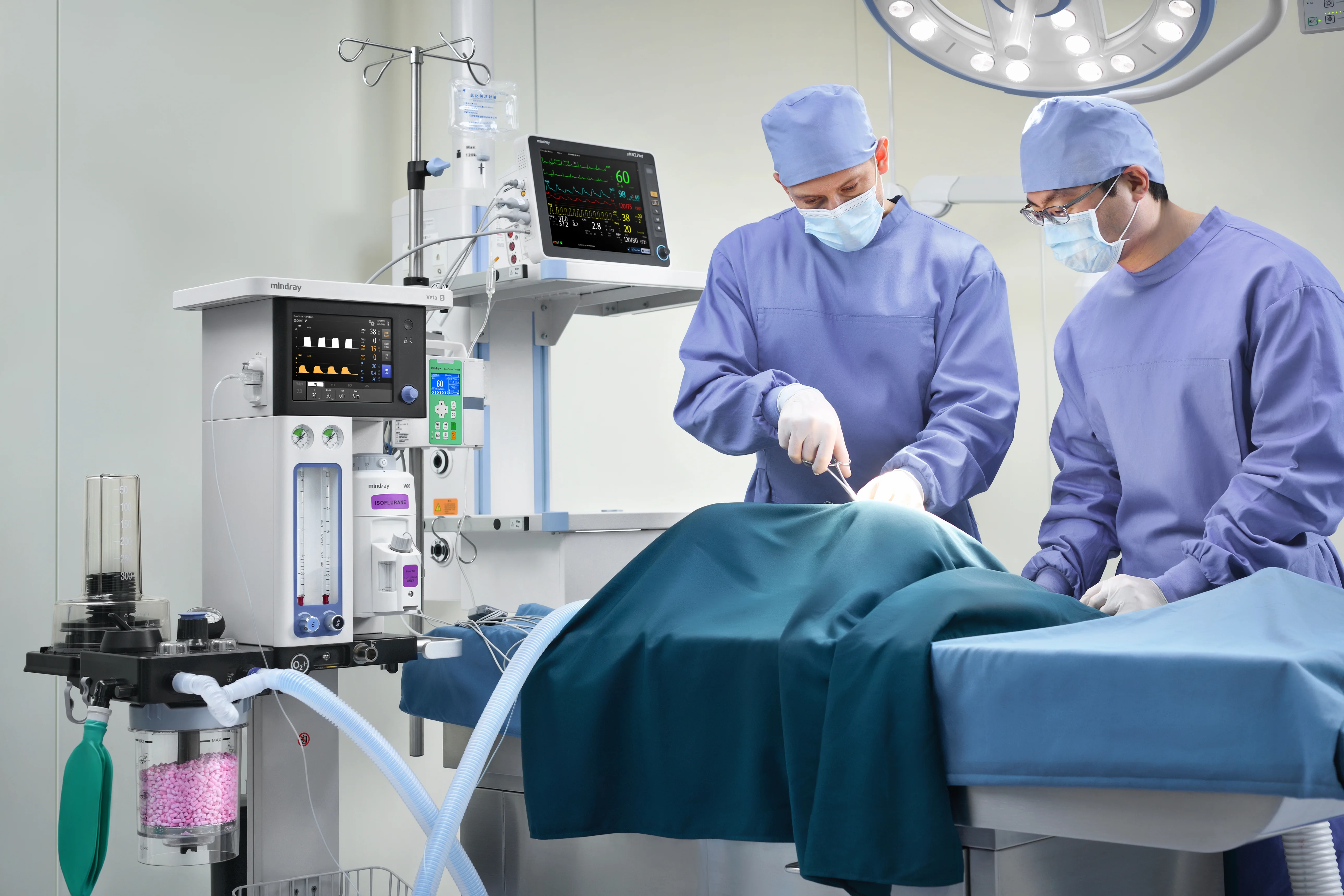 Mindray Animal Veta 5 Basic Key Fill Anaesthesia Machine - Image 4