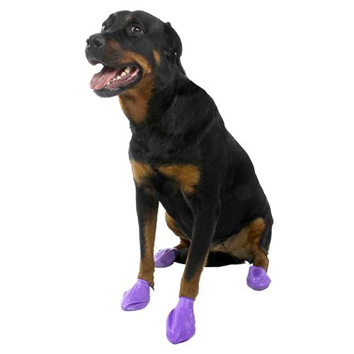 Pawz Dog Boots - Image 7